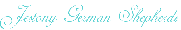 www.jestonygermanshepherds.co.uk Logo